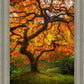 Tree of Perspective Vertical