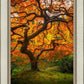 Tree of Perspective Vertical