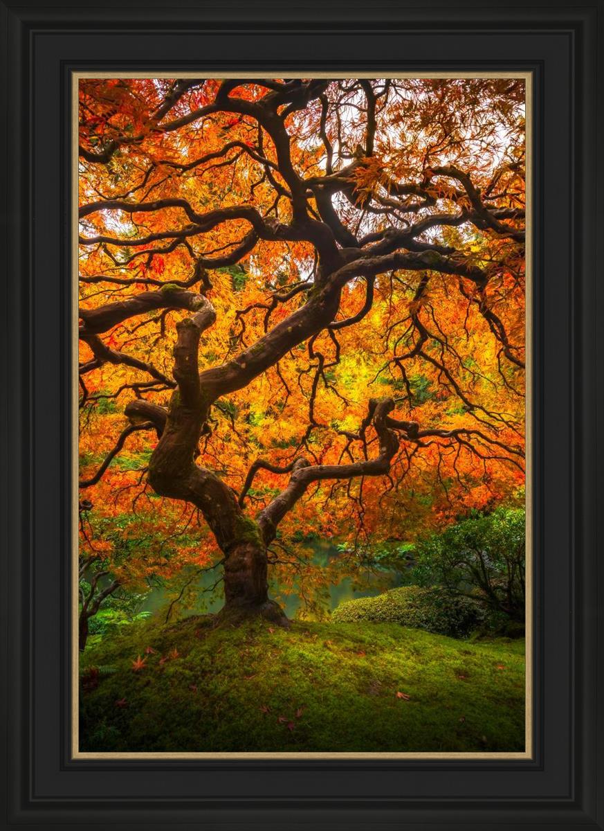 Tree of Perspective Vertical