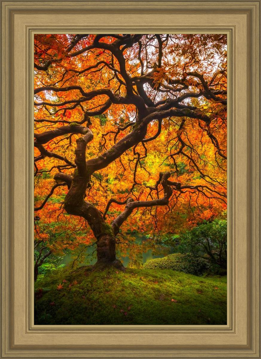Tree of Perspective Vertical