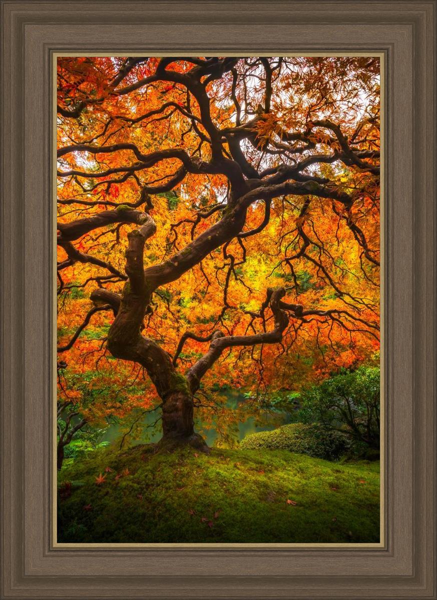 Tree of Perspective Vertical
