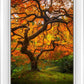 Tree of Perspective Vertical