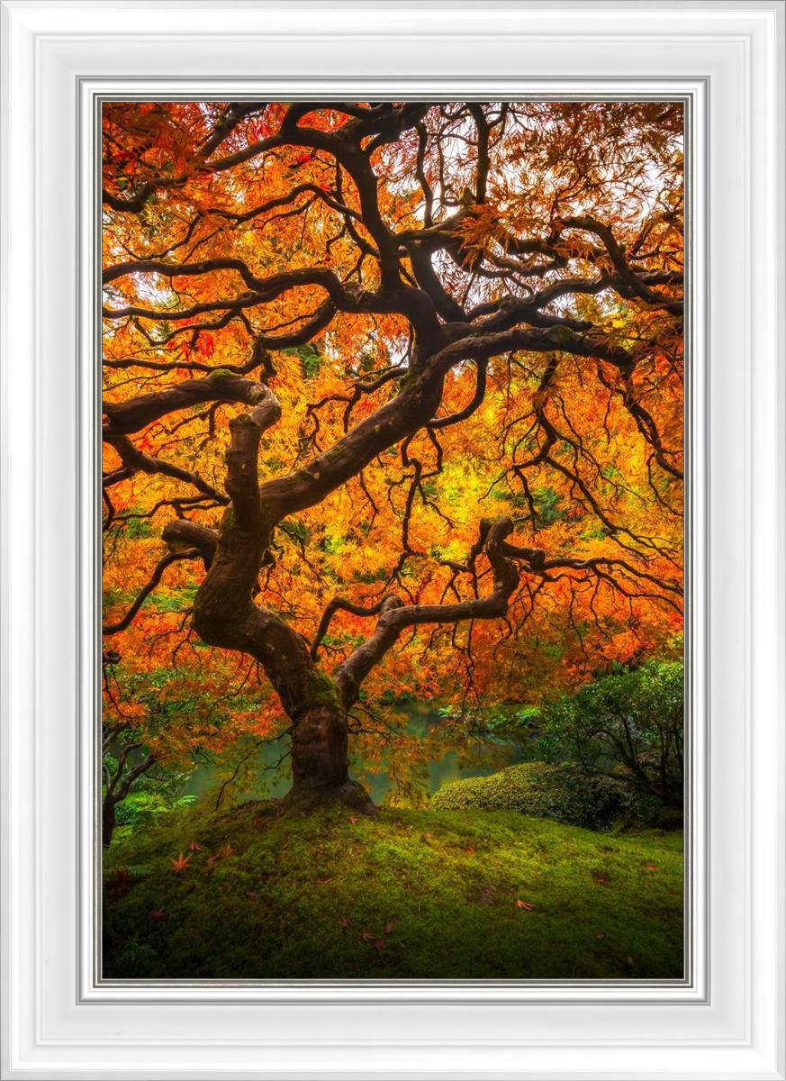 Tree of Perspective Vertical