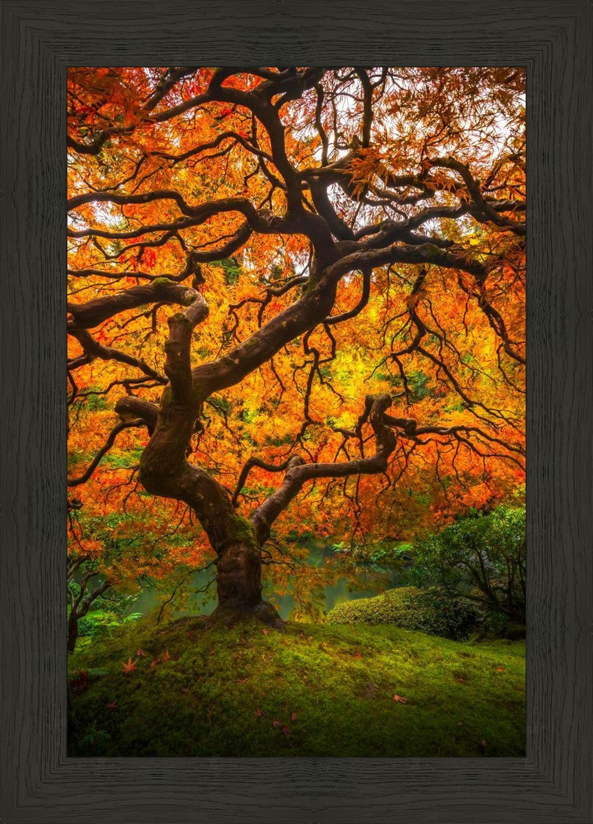 Tree of Perspective Vertical