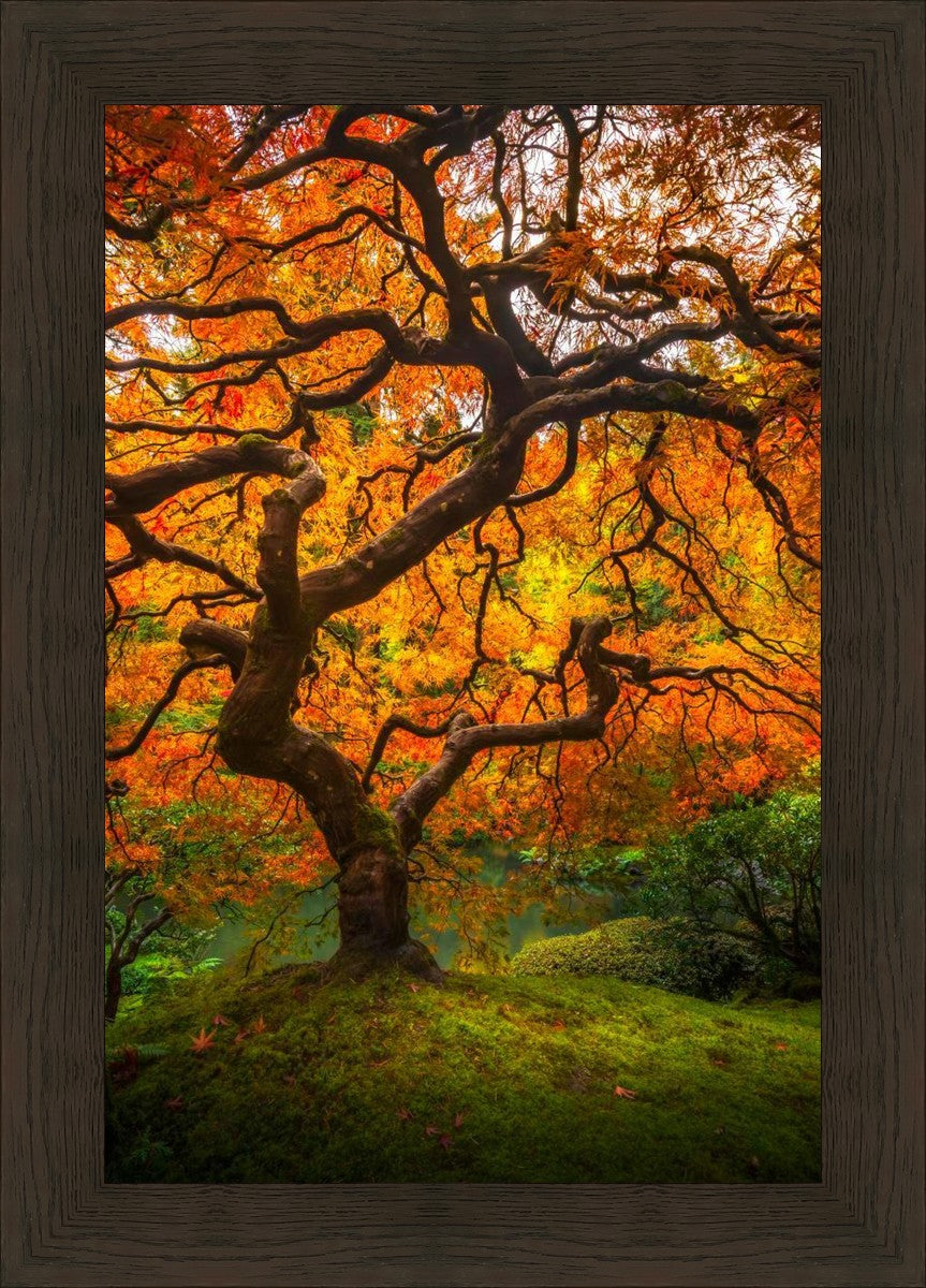 Tree of Perspective Vertical