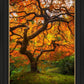 Tree of Perspective Vertical