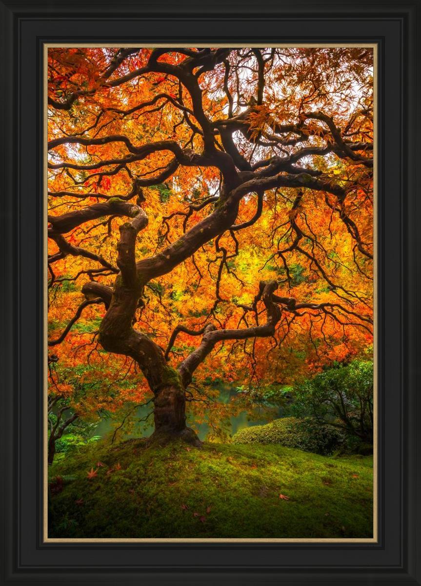 Tree of Perspective Vertical