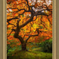 Tree of Perspective Vertical