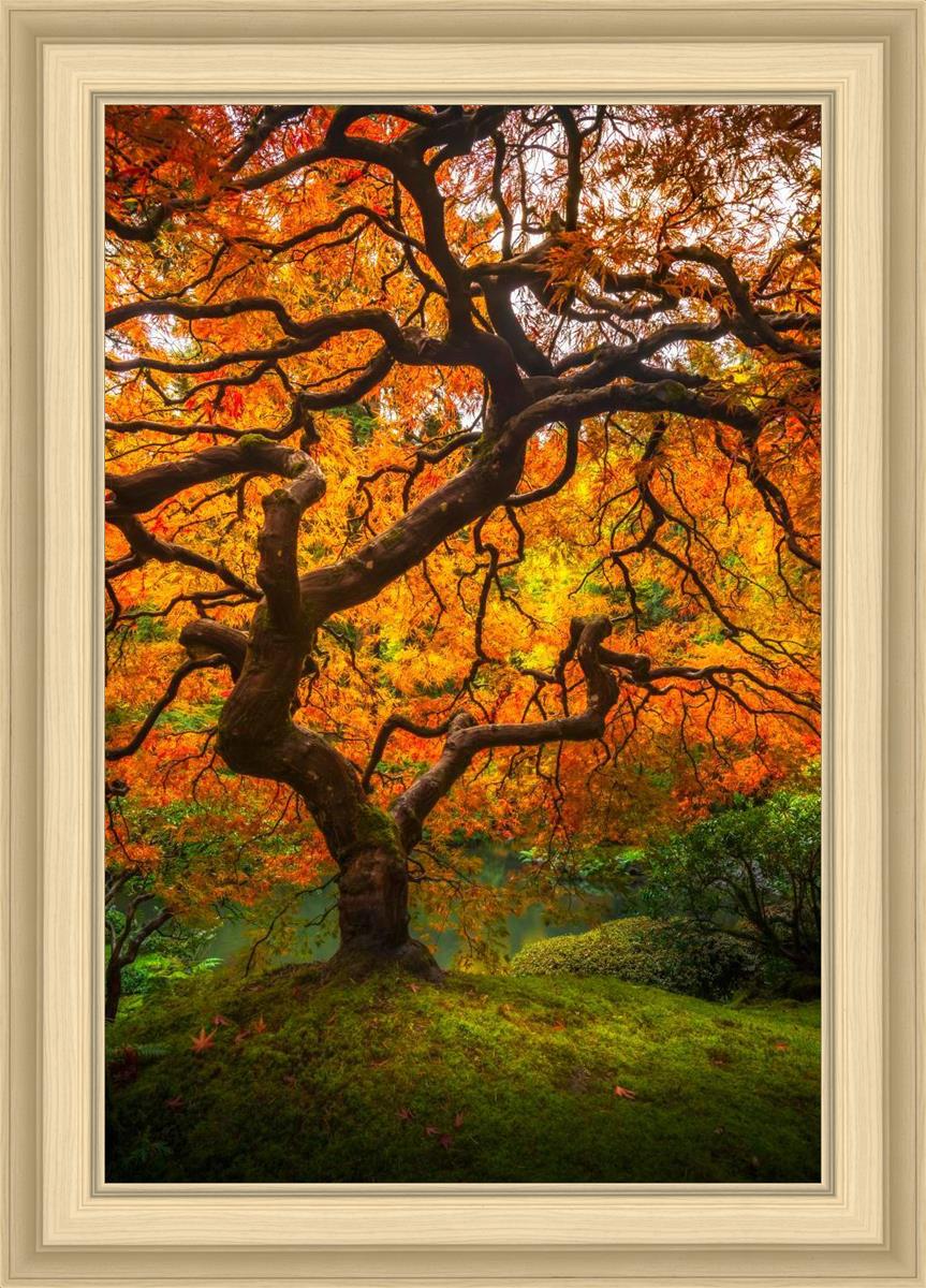 Tree of Perspective Vertical