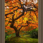 Tree of Perspective Vertical