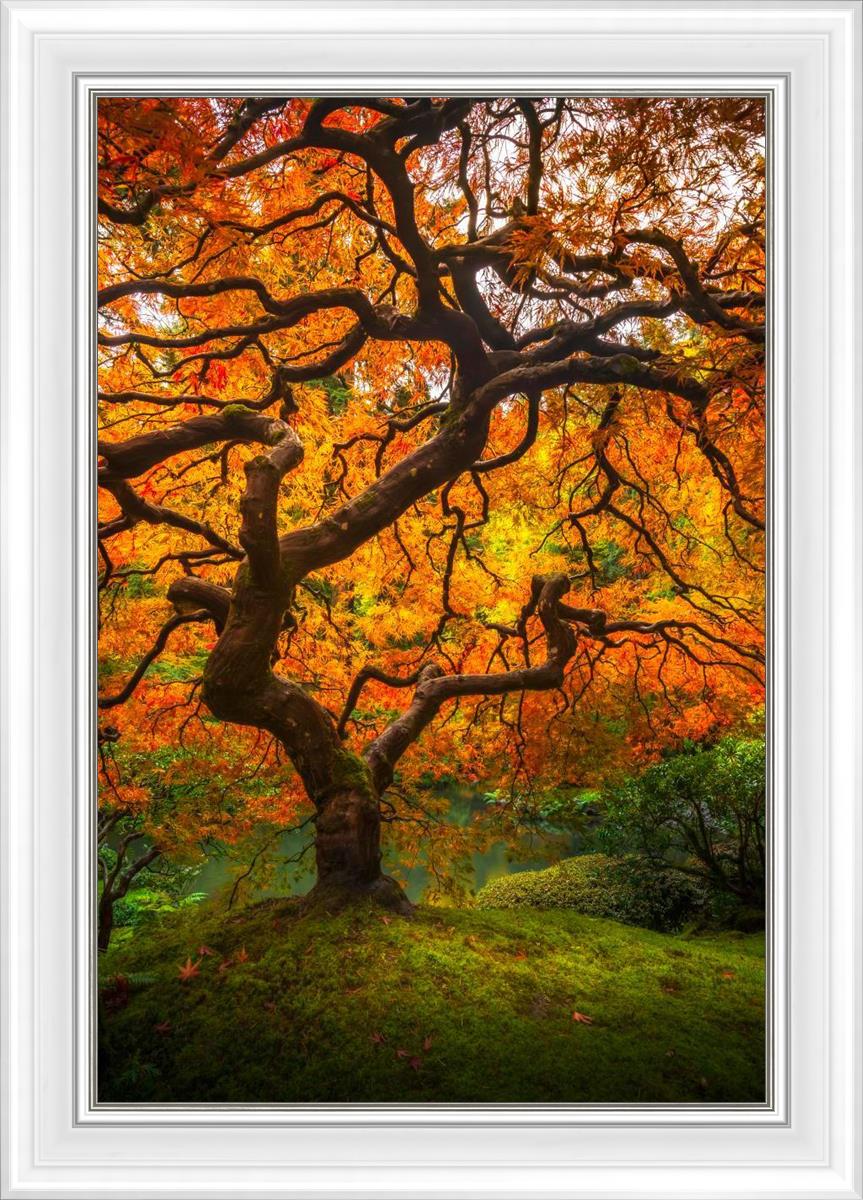 Tree of Perspective Vertical