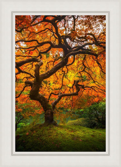 Tree of Perspective Vertical