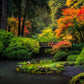 Garden Bridge