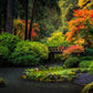 Garden Bridge