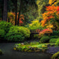 Garden Bridge