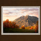 Timpanogos Autumn