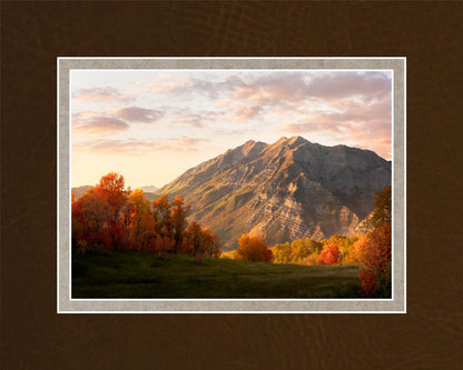 Timpanogos Autumn