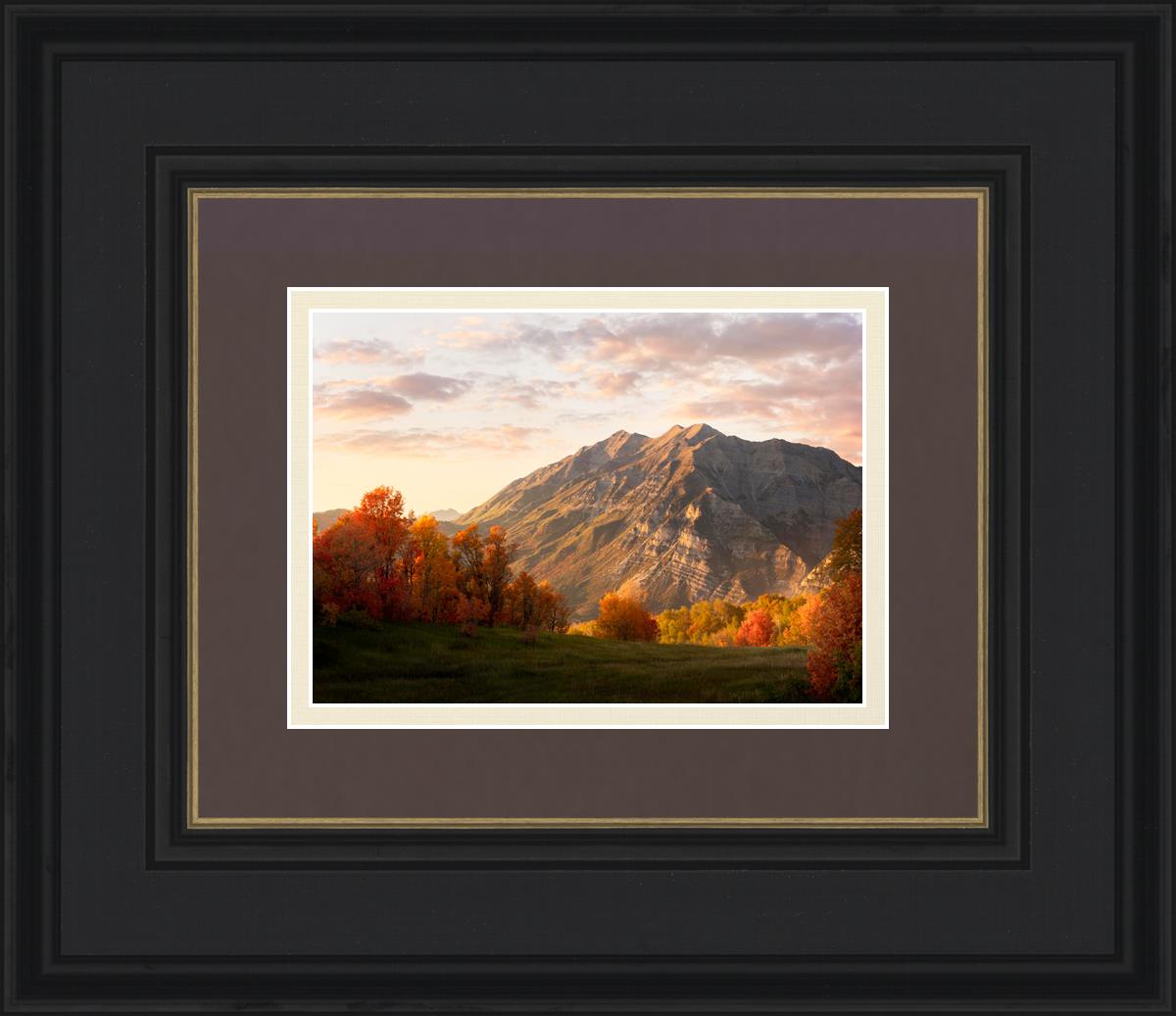 Timpanogos Autumn