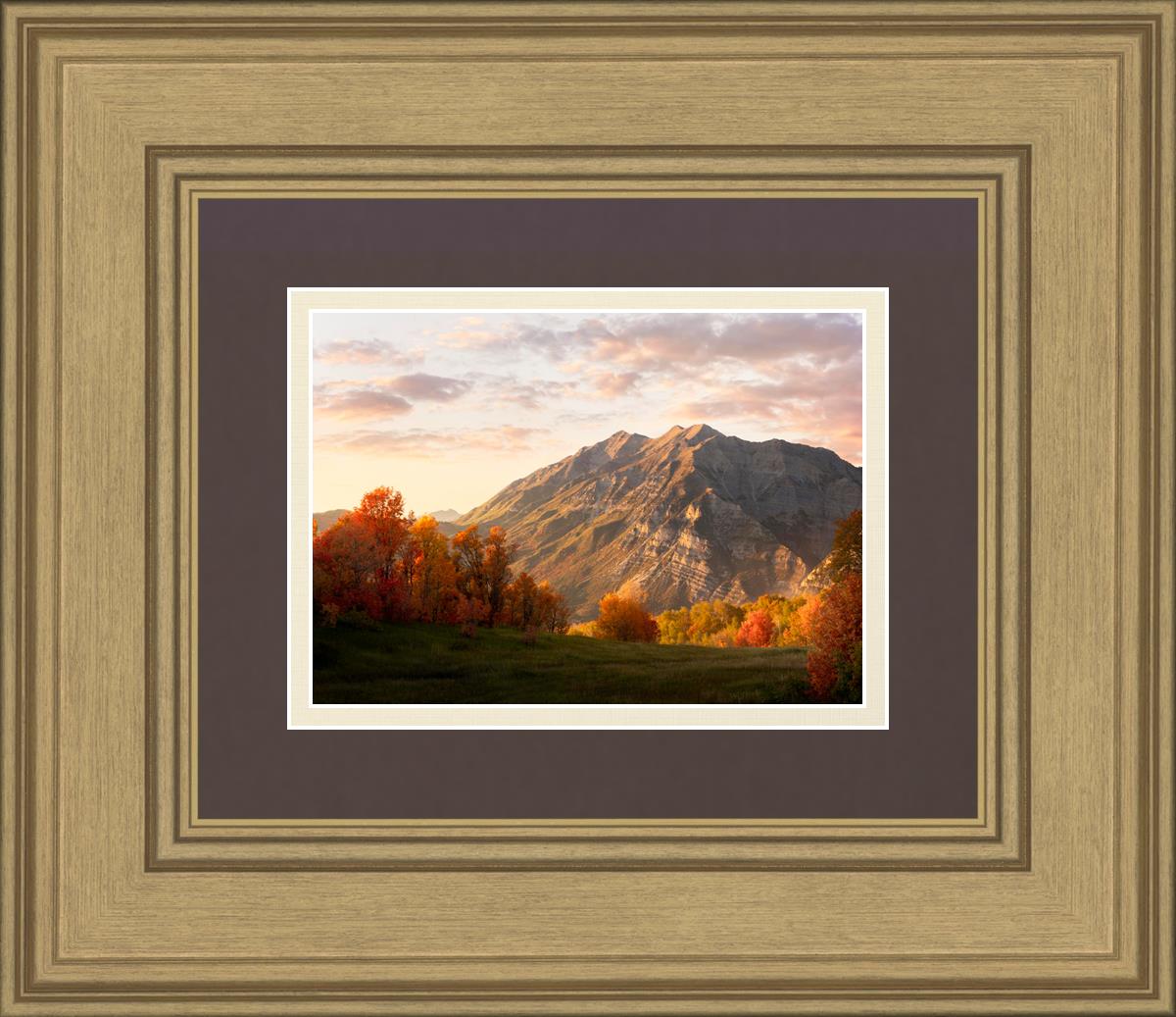 Timpanogos Autumn