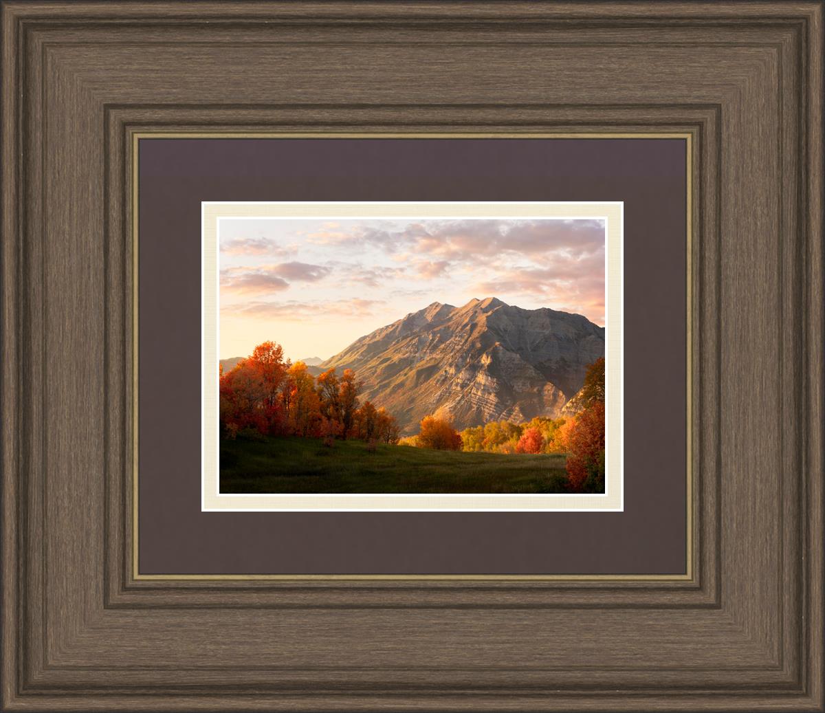 Timpanogos Autumn