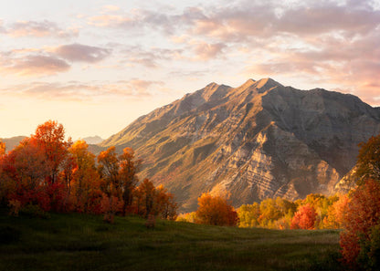 Timpanogos Autumn