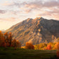 Timpanogos Autumn