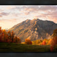 Timpanogos Autumn