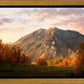 Timpanogos Autumn