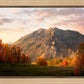 Timpanogos Autumn