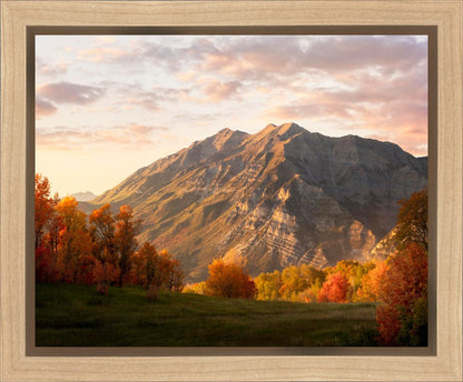 Timpanogos Autumn