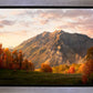 Timpanogos Autumn