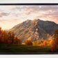 Timpanogos Autumn