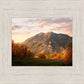 Timpanogos Autumn