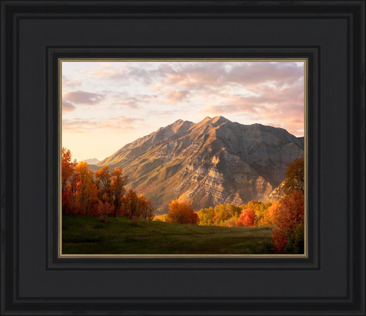 Timpanogos Autumn