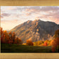 Timpanogos Autumn