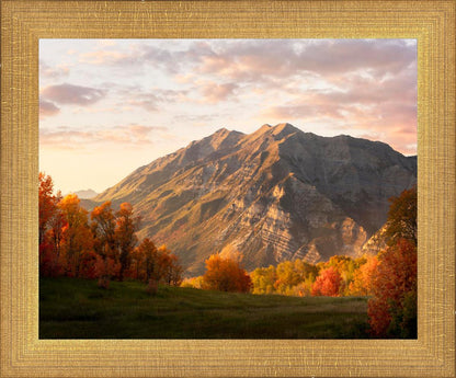 Timpanogos Autumn