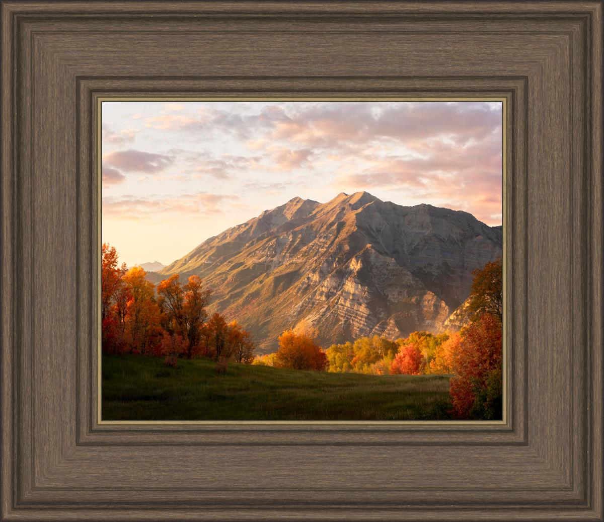 Timpanogos Autumn
