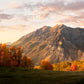 Timpanogos Autumn