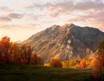 Timpanogos Autumn