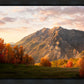 Timpanogos Autumn