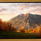 Timpanogos Autumn