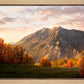 Timpanogos Autumn
