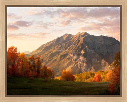 Timpanogos Autumn