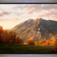 Timpanogos Autumn