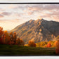 Timpanogos Autumn
