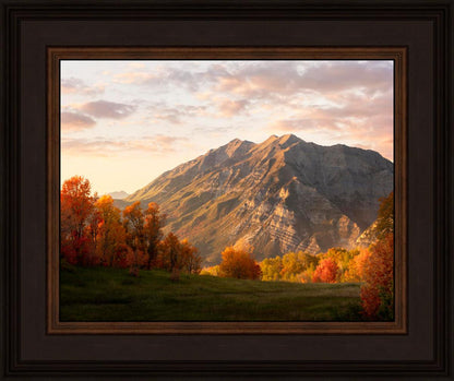 Timpanogos Autumn