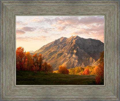 Timpanogos Autumn