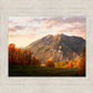 Timpanogos Autumn