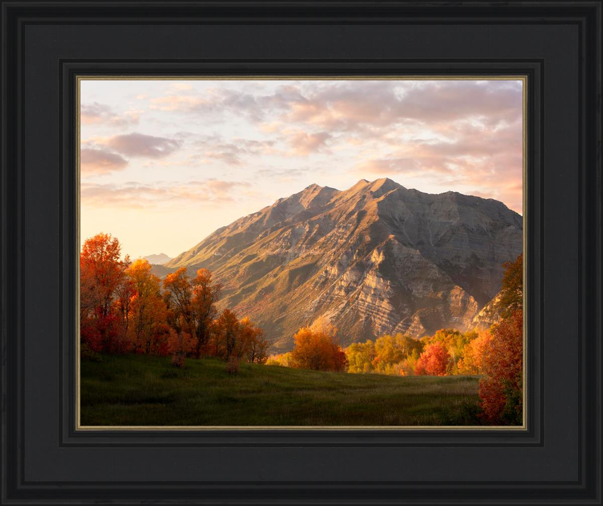 Timpanogos Autumn