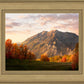 Timpanogos Autumn
